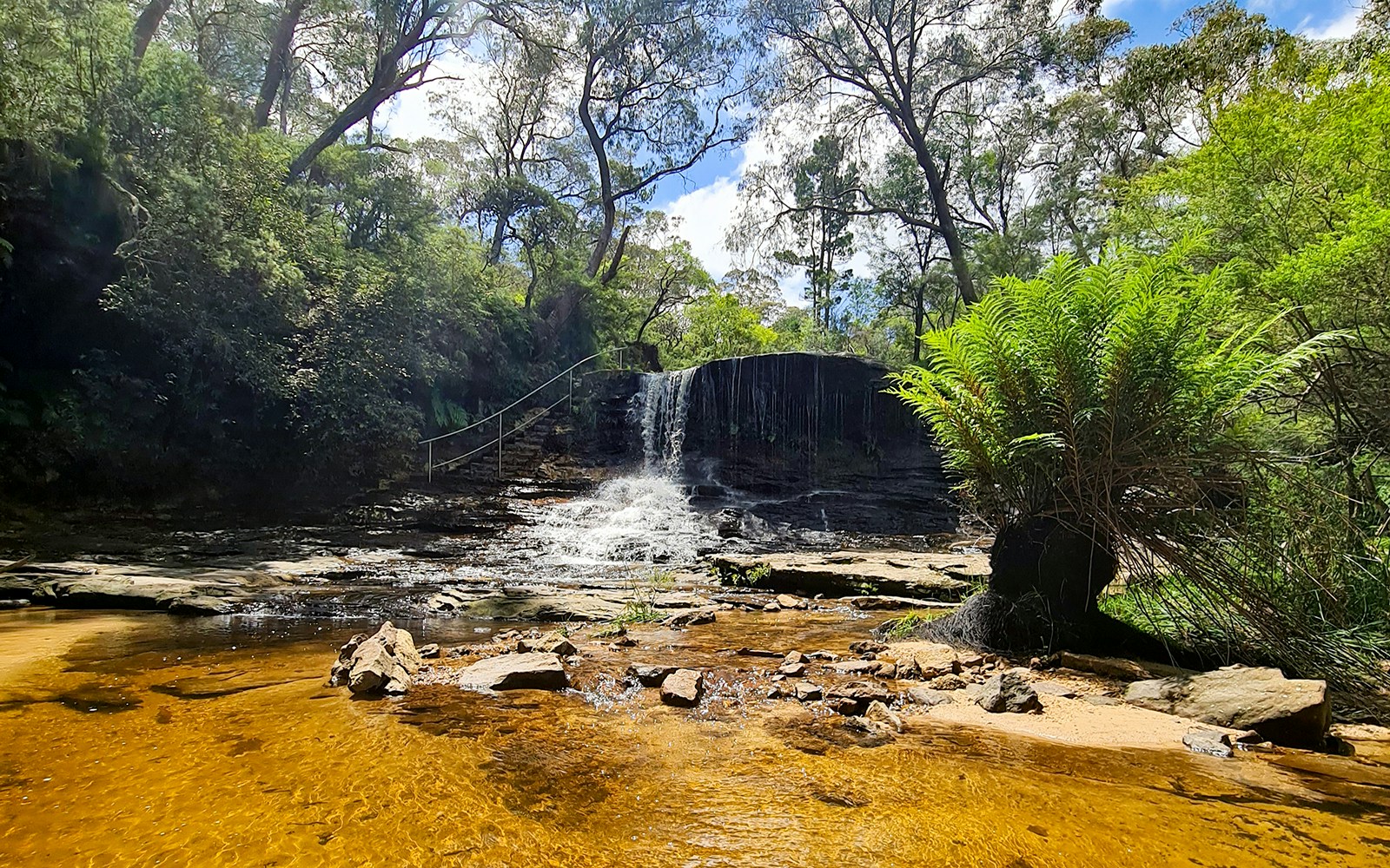 Wentworth Falls cascading in Blue Mountains with lush greenery and walking trail.