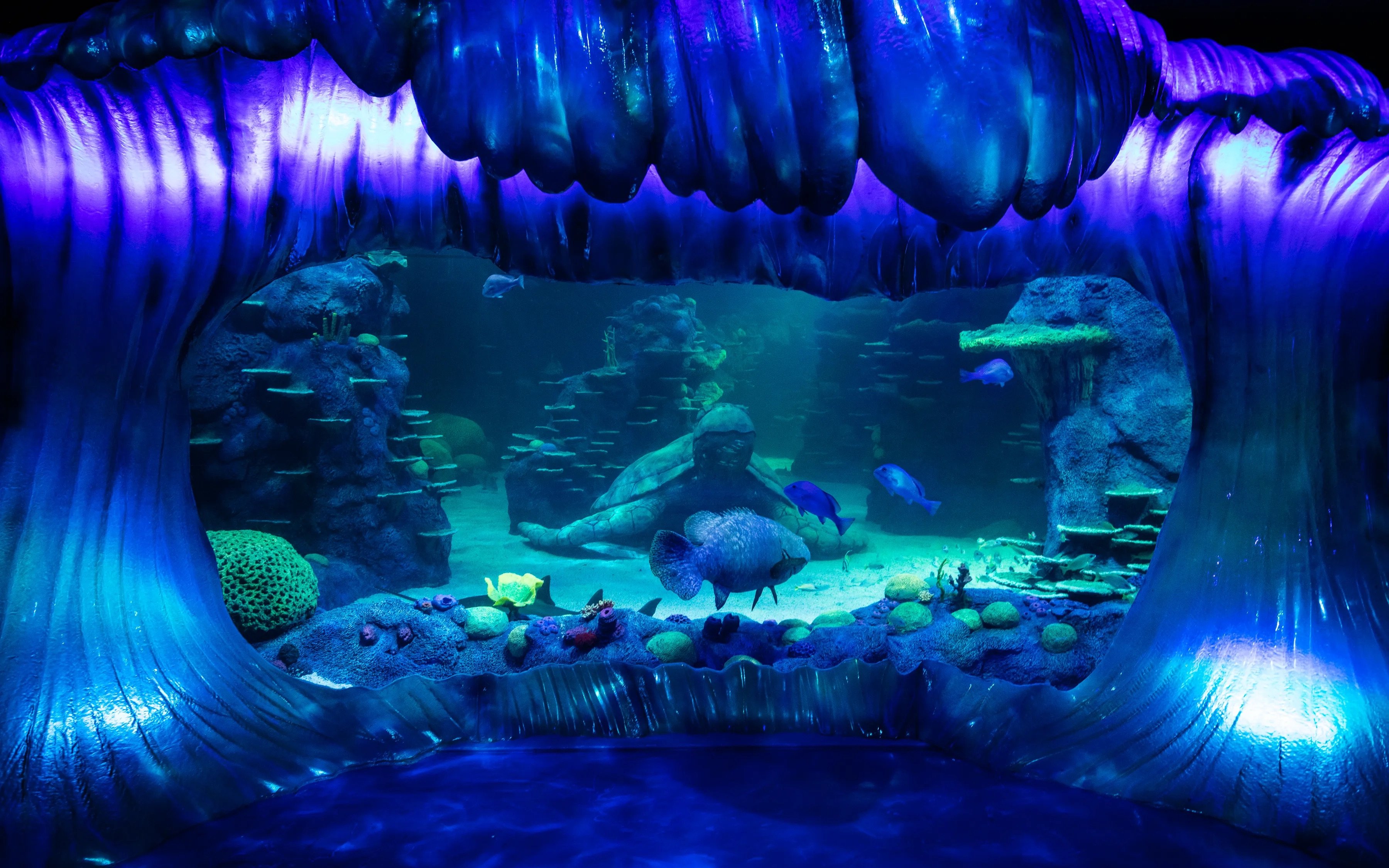 SEA LIFE Sydney tickets