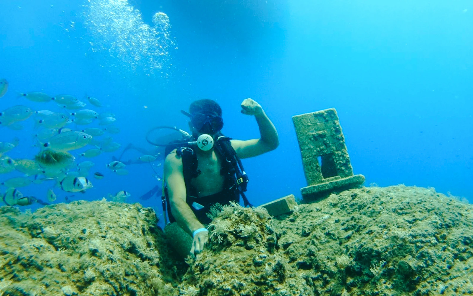 Side: Underwater Museum Guided Diving Tour with Lunch and Hotel Transfers Image 3