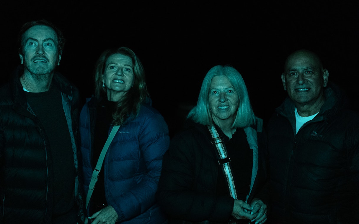 Group enjoying Evening Rainforest & Glow Worm Experience tour.