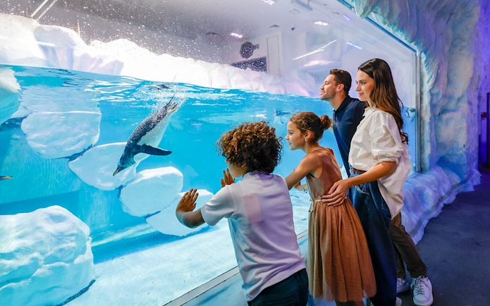 Family observing penguins swimming at the underwater aquarium in Dubai zoo.