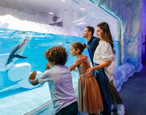 Dubai Aquarium