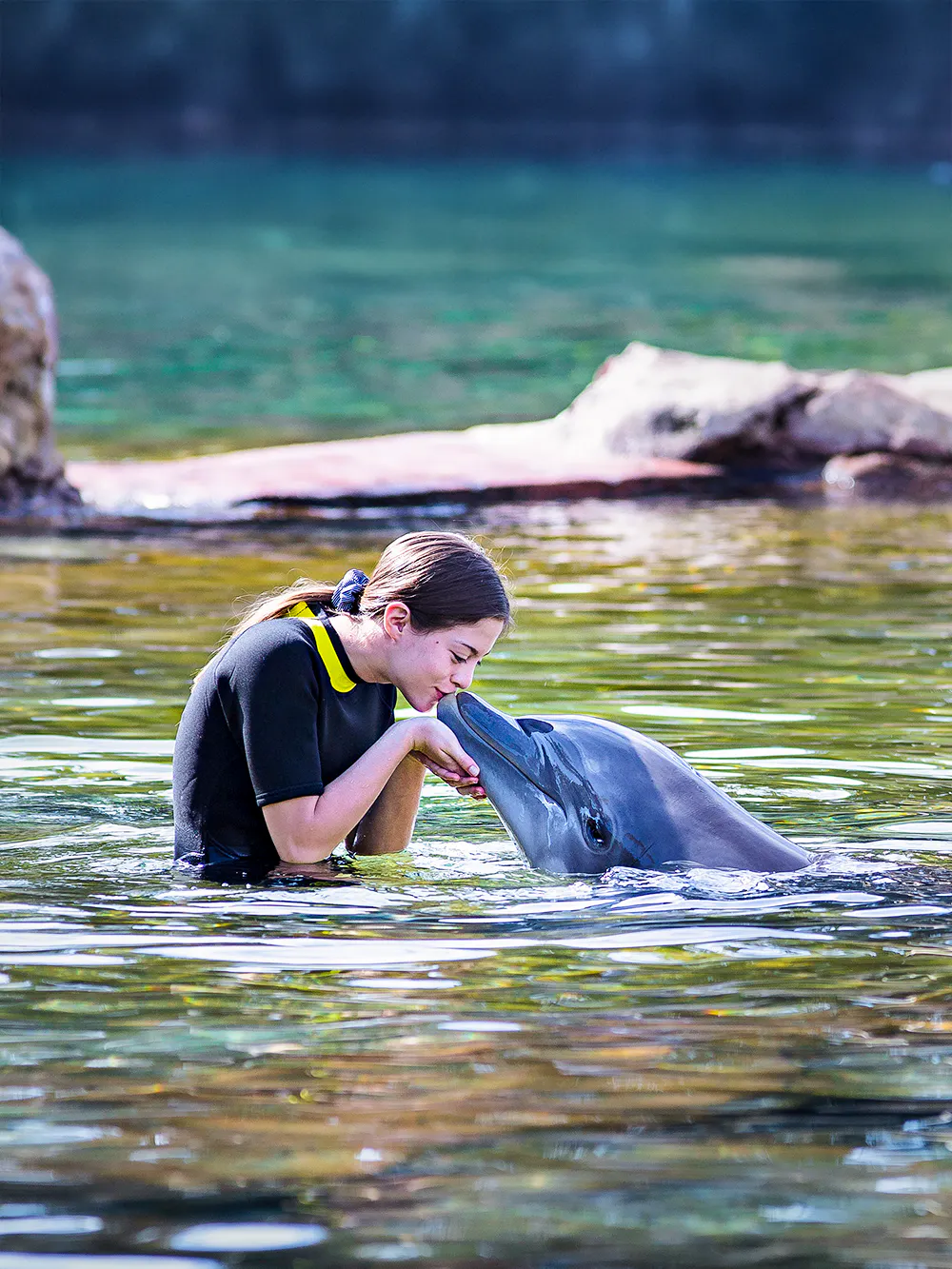 Person interacting with a dolphin at the aquarium.