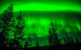 Northern Lights over forest in Rovaniemi, Finland, during family-friendly adventure.