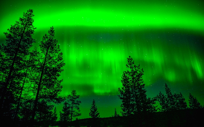 Northern Lights over forest in Rovaniemi, Finland, during family-friendly adventure.