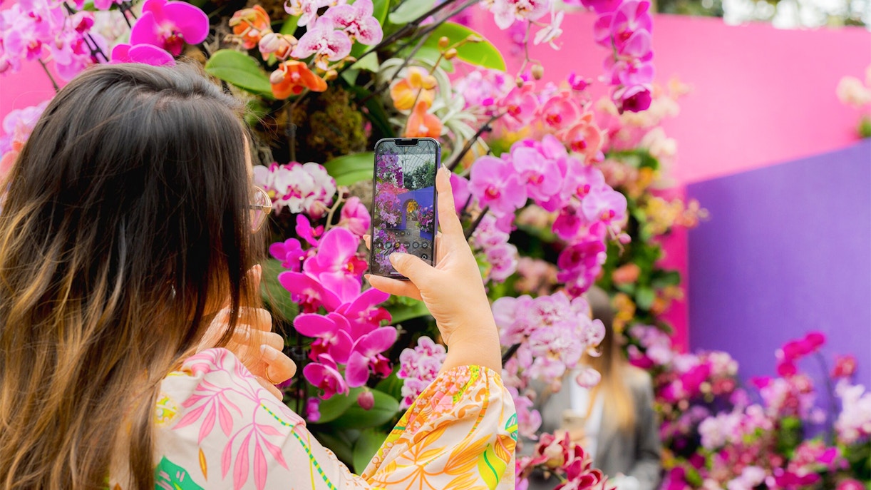 Woman photographing orchids at the Orchid Show, New York Botanical Garden.