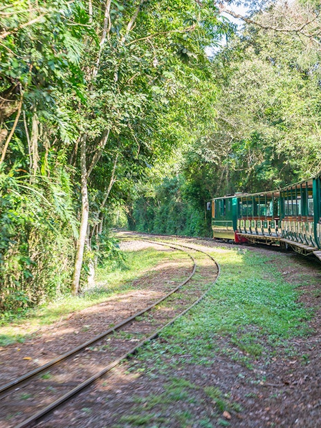 Train traveling through lush forest towards Iguazu Falls.