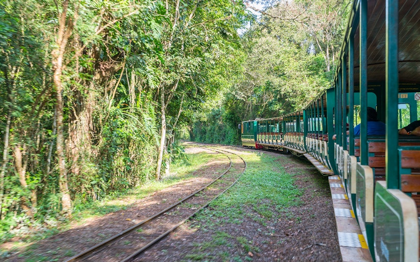Train traveling through lush forest towards Iguazu Falls.