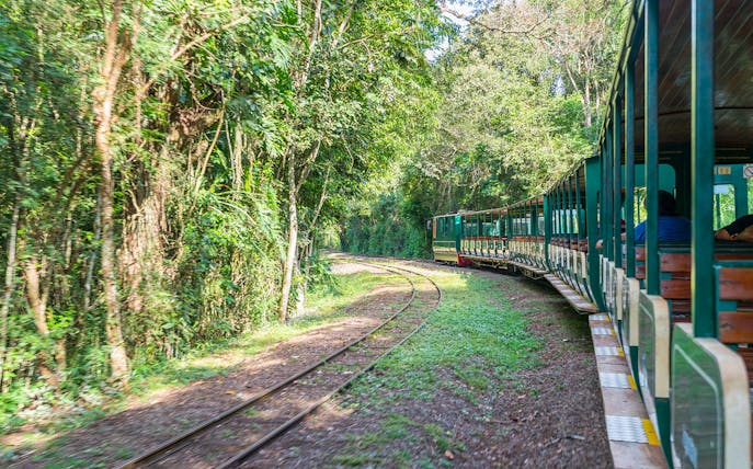 Train traveling through lush forest towards Iguazu Falls.