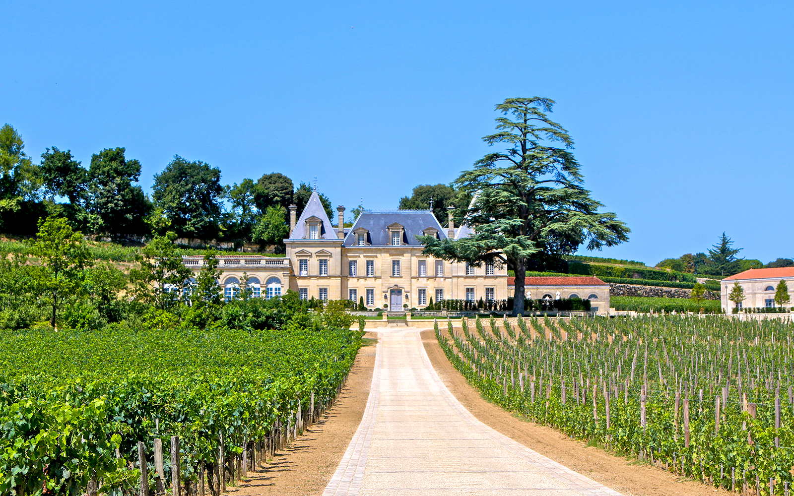 Saint Emilion Tour du Roy