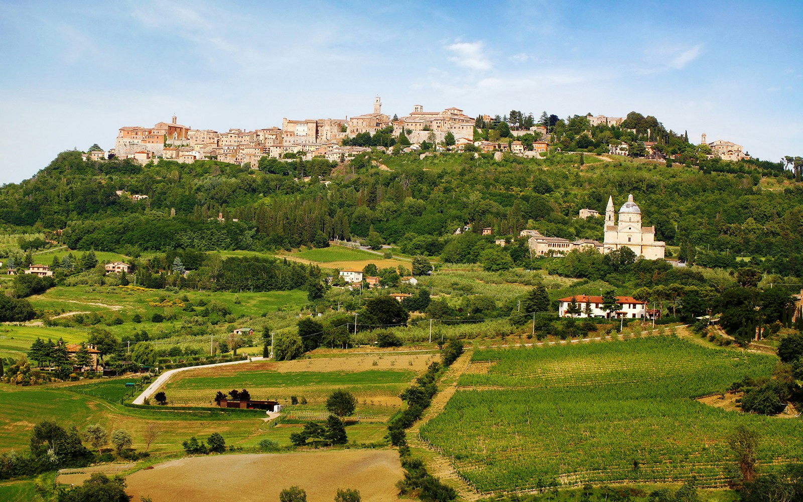 Hilltop view of Montepulciano with vineyards in Tuscany, Italy.