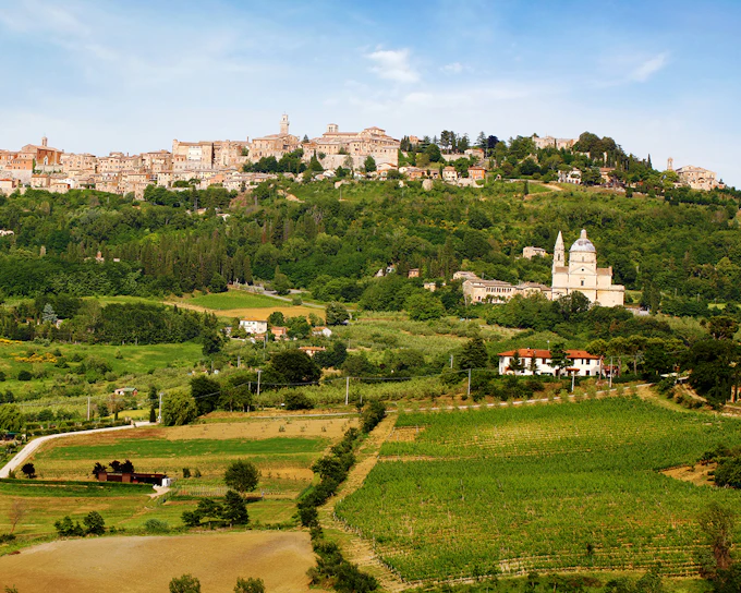 Chianti Classico, Montalcino, Montepulciano: Day Trip From Florence By Minivan