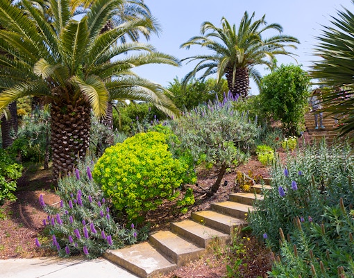 Barcelona Botanical Garden with diverse plant species and scenic pathways.