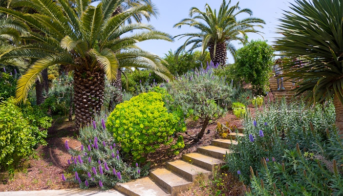Botanical Garden Barcelona