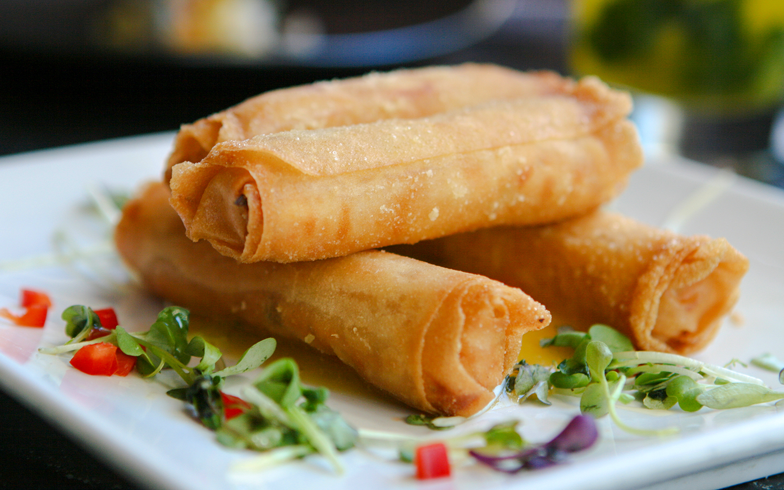 Spring rolls served with fresh greens and diced red peppers on a white plate.