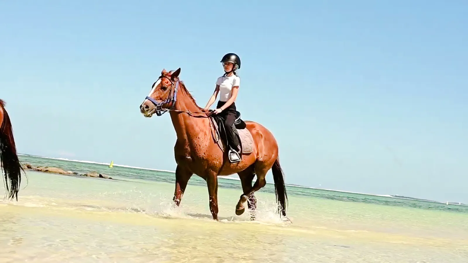 private south-west mauritius tour with bel ombre beach horseback ride and lunch-1