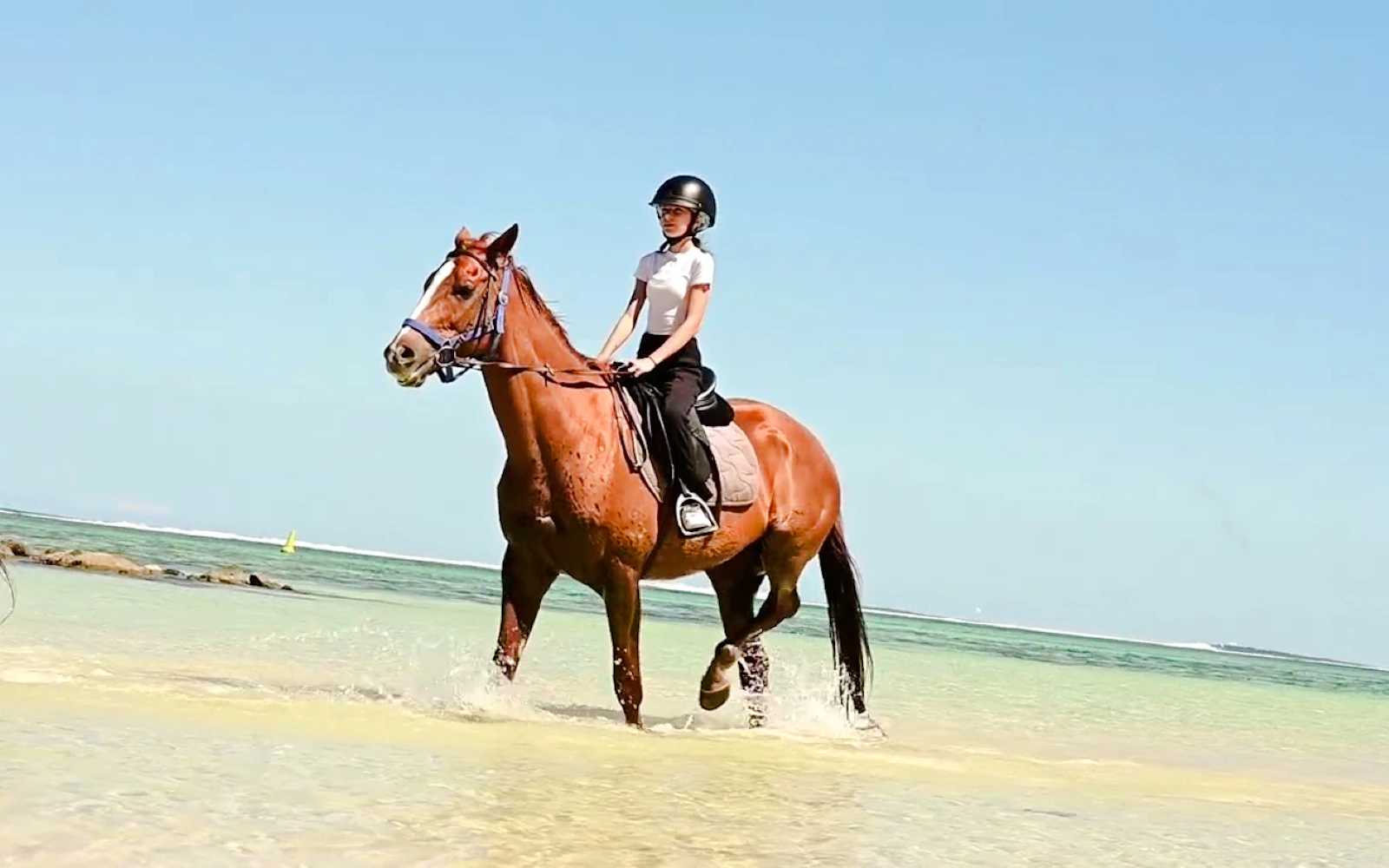 Private South-West Mauritius Tour with Bel Ombre Beach Horseback Ride and Lunch