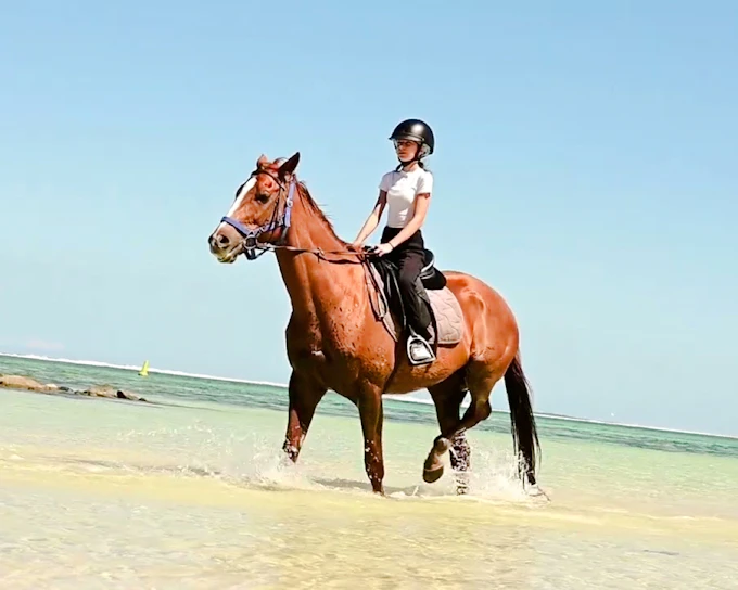 Private South-West Mauritius Tour with Bel Ombre Beach Horseback Ride and Lunch