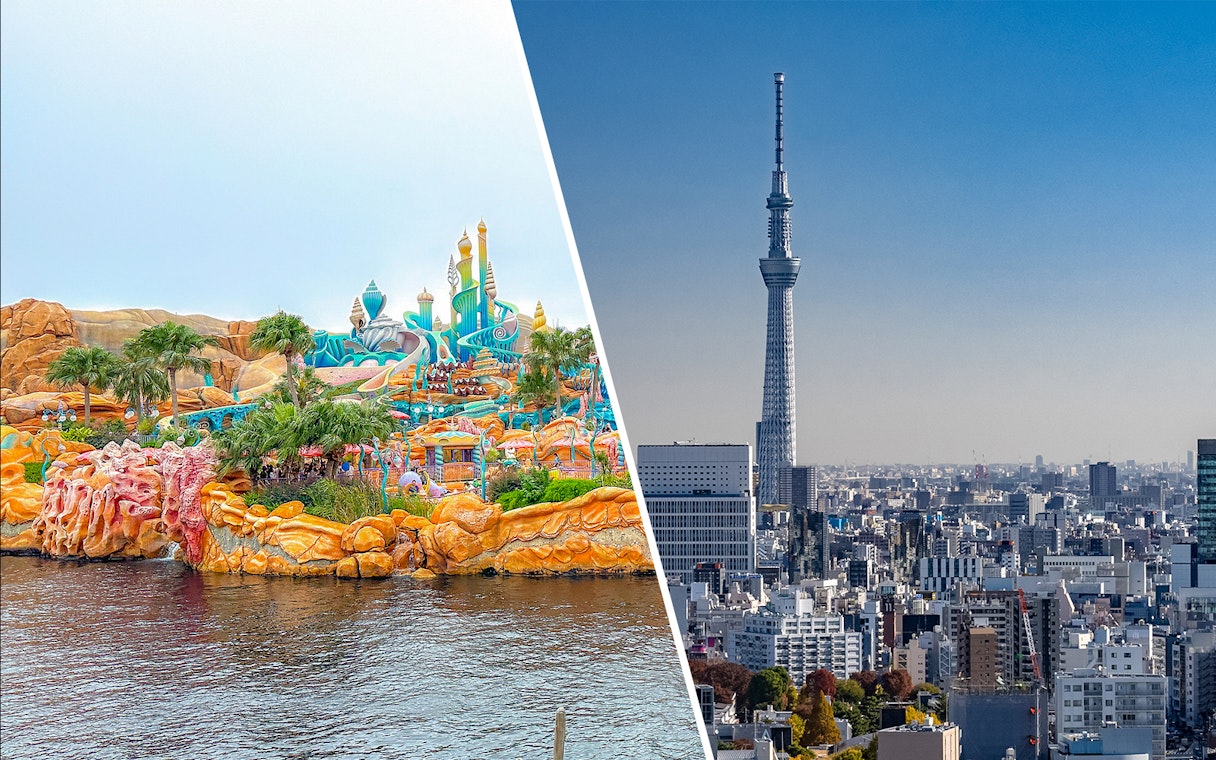 Colorful Disneyworld theme park with water and palm trees.