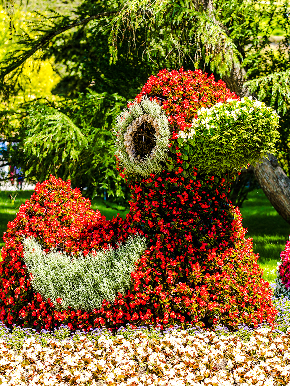 Floral sun sculpture and colorful flower beds at Mainau Flower Island.