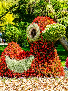 Floral sun sculpture and colorful flower beds at Mainau Flower Island.