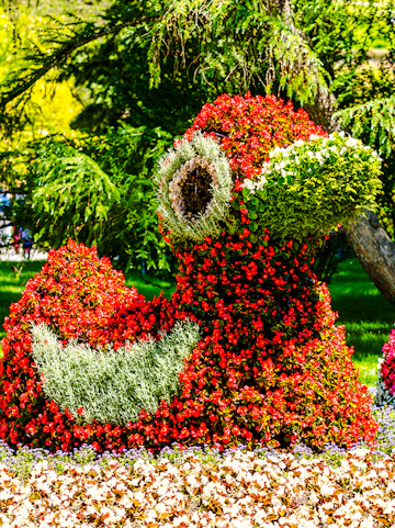 Floral sun sculpture and colorful flower beds at Mainau Flower Island.