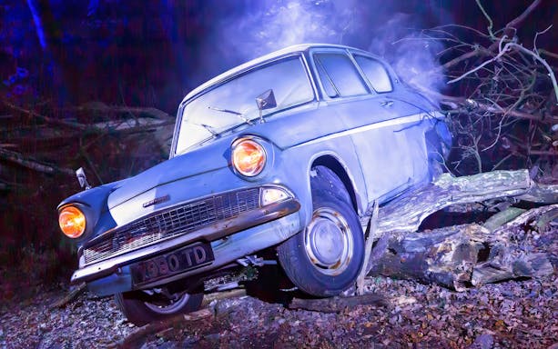 Flying car in the Forbidden Forest from Harry Potter experience.