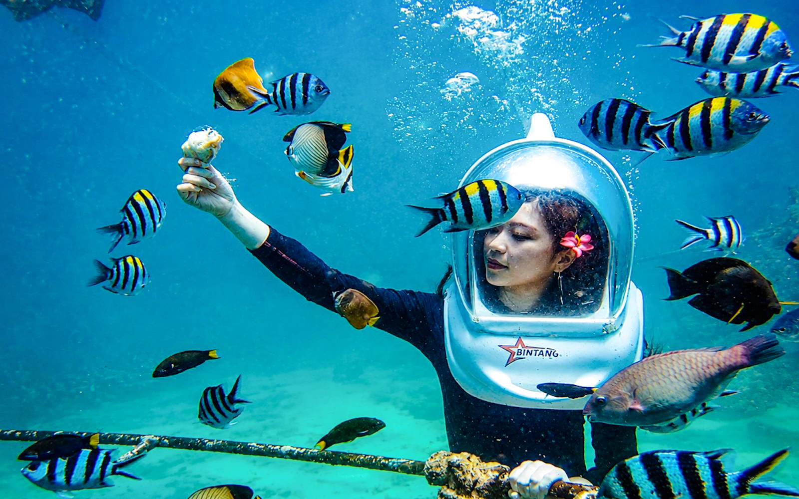 Bali Sea Walker Underwater Walk in Nusa Dua