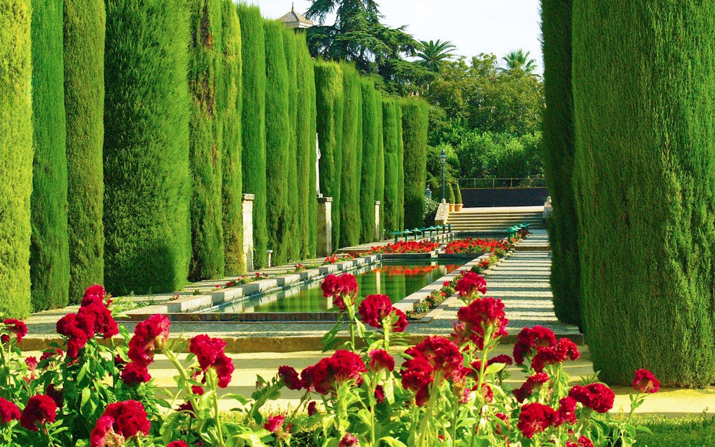 Cypress-lined garden path with red flowers at Córdoba Alcázar.