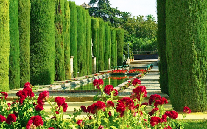 Cypress-lined garden path with red flowers at Córdoba Alcázar.