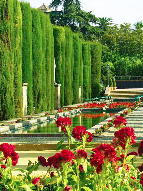 Cypress-lined garden path with red flowers at Córdoba Alcázar.