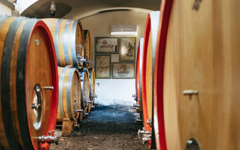 Wine barrels in a cellar during a wine tasting tour in Naples.