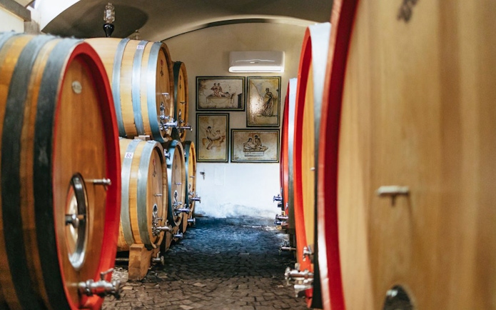 Wine barrels in a cellar during a wine tasting tour in Naples.