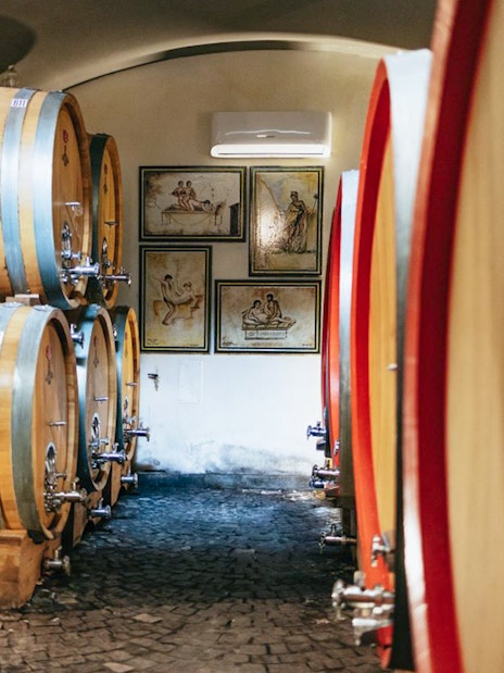 Wine barrels in a cellar during a wine tasting tour in Naples.
