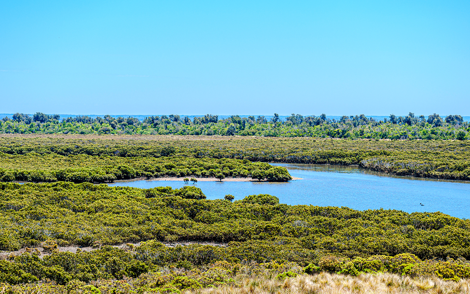 Rhyll Inlet wetland reserve with boardwalk and mangroves at Phillip Island.
