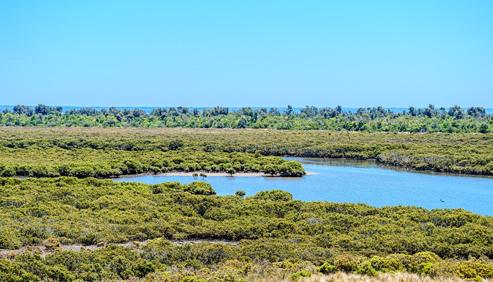 Rhyll Inlet wetland reserve with boardwalk and mangroves at Phillip Island.
