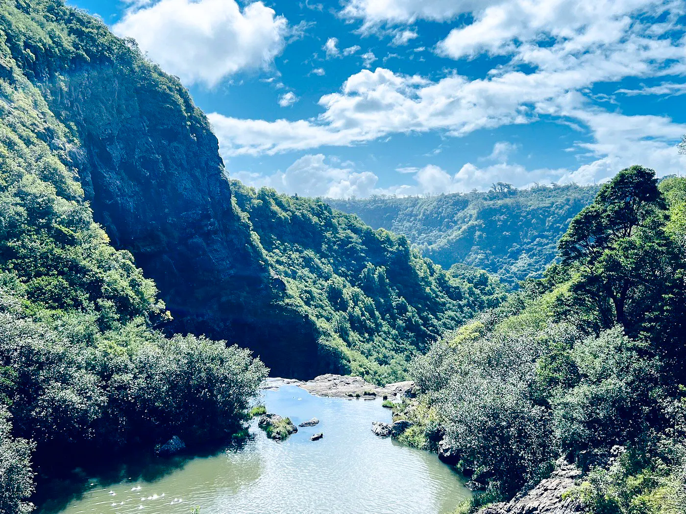 privat guidet tur til tamarind falls med 7 fossefall og rundtur i det sørvestlige mauritius med lunsj-16