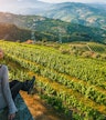 First Local Winery Visit
