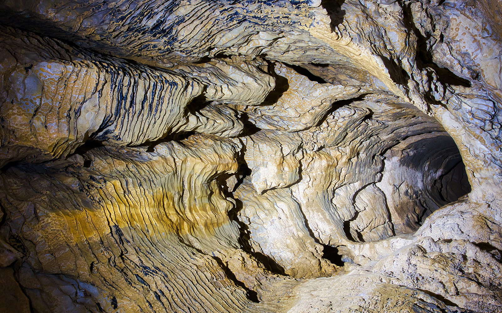 Ruakuri Cave limestone formations, Waitomo, New Zealand.