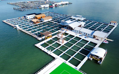 Floating fish farm with structures on water, Penang catamaran cruise activity.