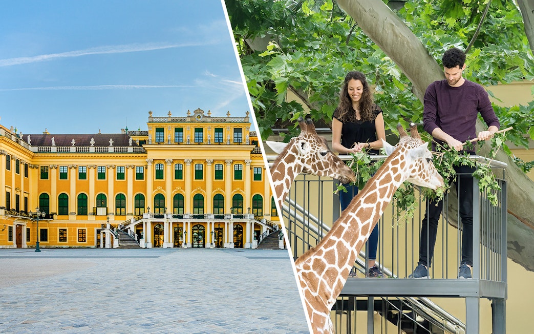 Courtyard of Schönbrunn Palace in Vienna and people feeding giraffes at a zoo.