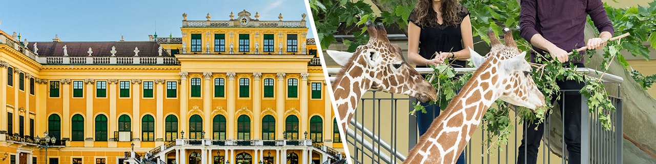 biglietti combo: tour con ingresso Salta la Fila al castello e ai giardini di Schönbrunn + biglietto con ingresso Salta la Fila allo zoo di Schönbrunn