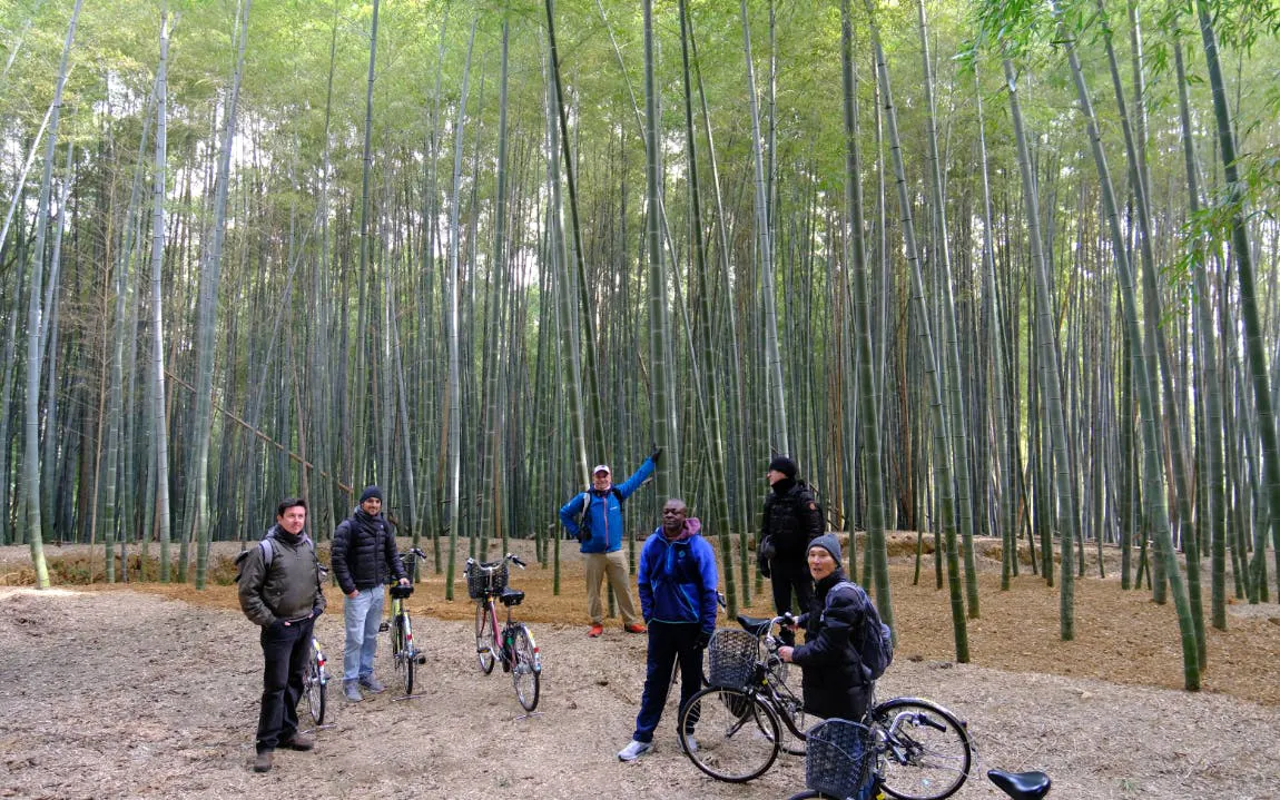 e-sykkeltur i kyoto gjennom bambuskoger, fjelltempler og med lokal sushi til lunsj-8
