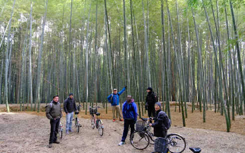 tour in e-bike per gruppi piccoli nella campagna occidentale di kyoto con pranzo incluso-1