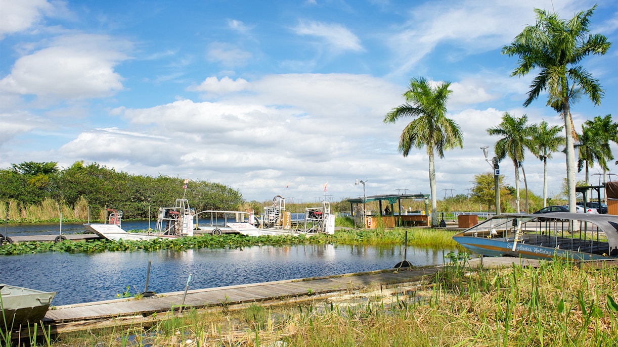 Airboats docked at Coopertown in the Everglades, Florida, surrounded by palm trees and wetlands.