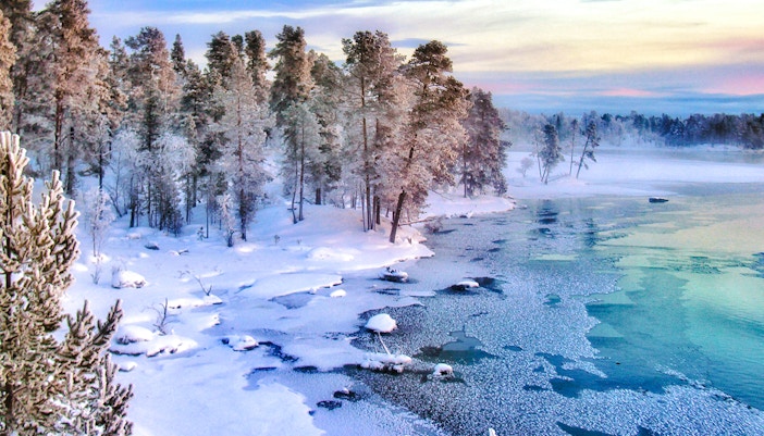Frozen lake surrounded by snow-covered trees in Lapland.