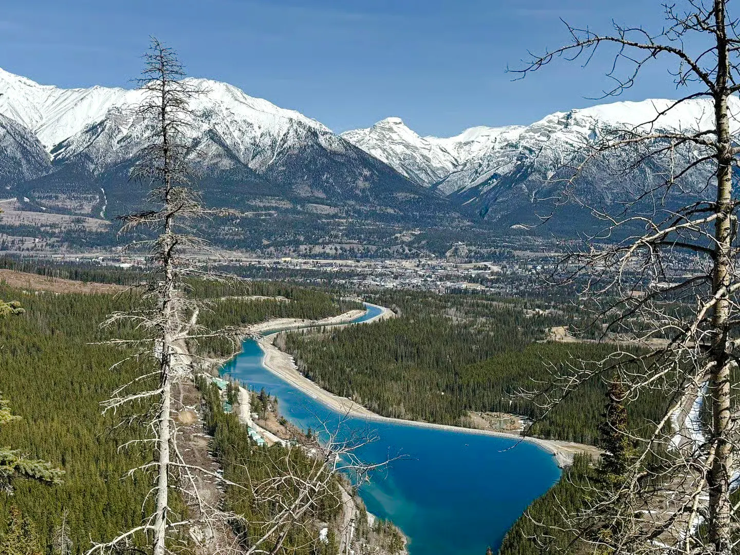 From Calgary: Kananaskis Lakes and Canmore Day Trip Image 7