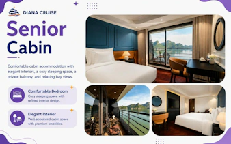 Senior cabin with private balcony and bay view on Ha Long & Lan Ha Bay luxury cruise.