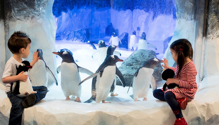 Bring the Kids - SEA Life London