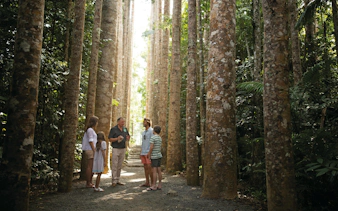 paronella park cassowary coast guided day and night tour-1